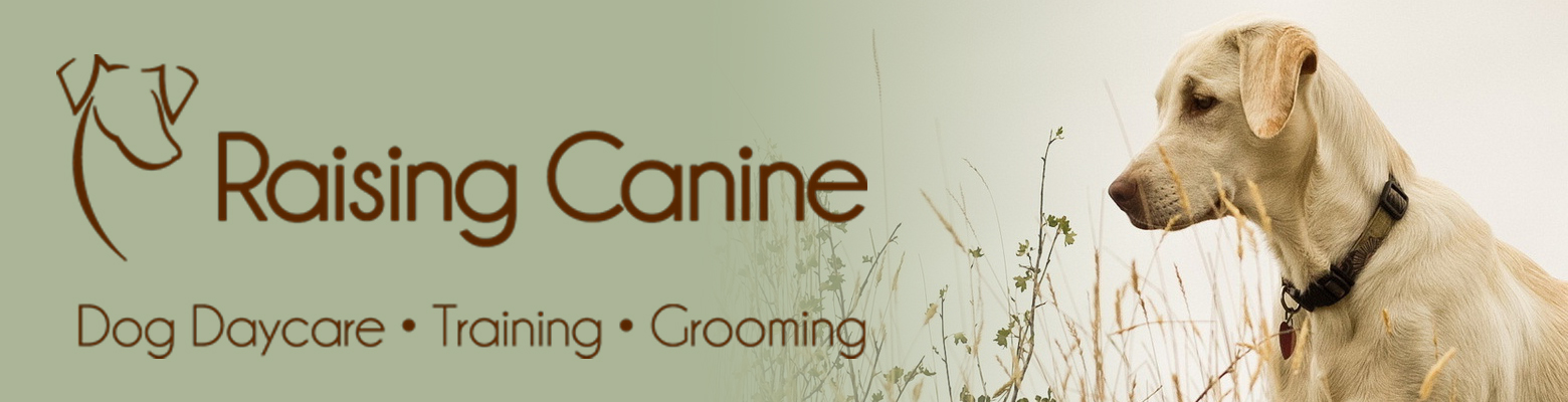 Banner for dog grooming Calgary, dog training Calgary, dog daycare Calgary
