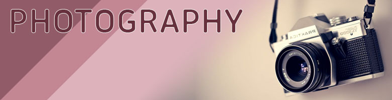 Calgary photography businesses banner
