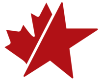 national-star-roofing-logo